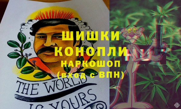 винт Абаза