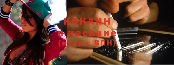 винт Абаза