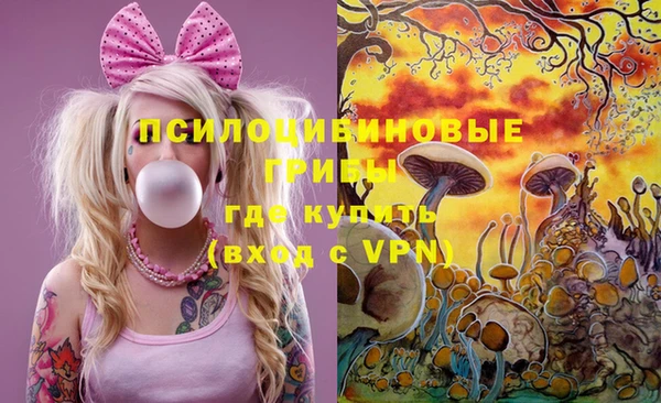 винт Абаза