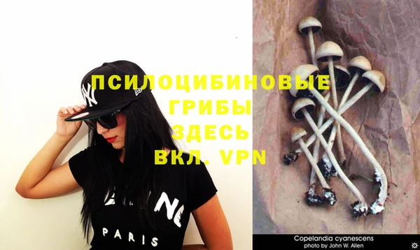 винт Абаза