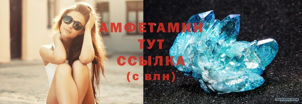 винт Абаза