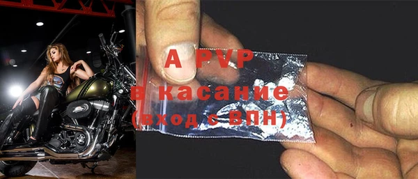 стаф Алексин