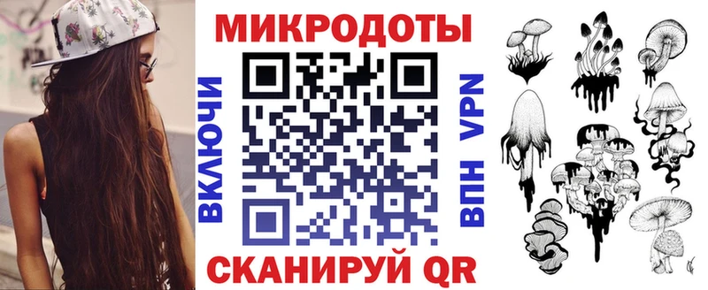 где купить наркоту  Шенкурск  Галлюциногенные грибы Psilocybine cubensis 