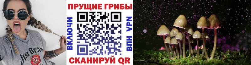 Галлюциногенные грибы мухоморы Шенкурск